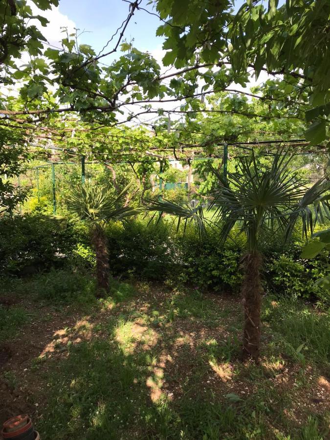 Kasaj Villa จีโรคาสเตอร์ ภายนอก รูปภาพ